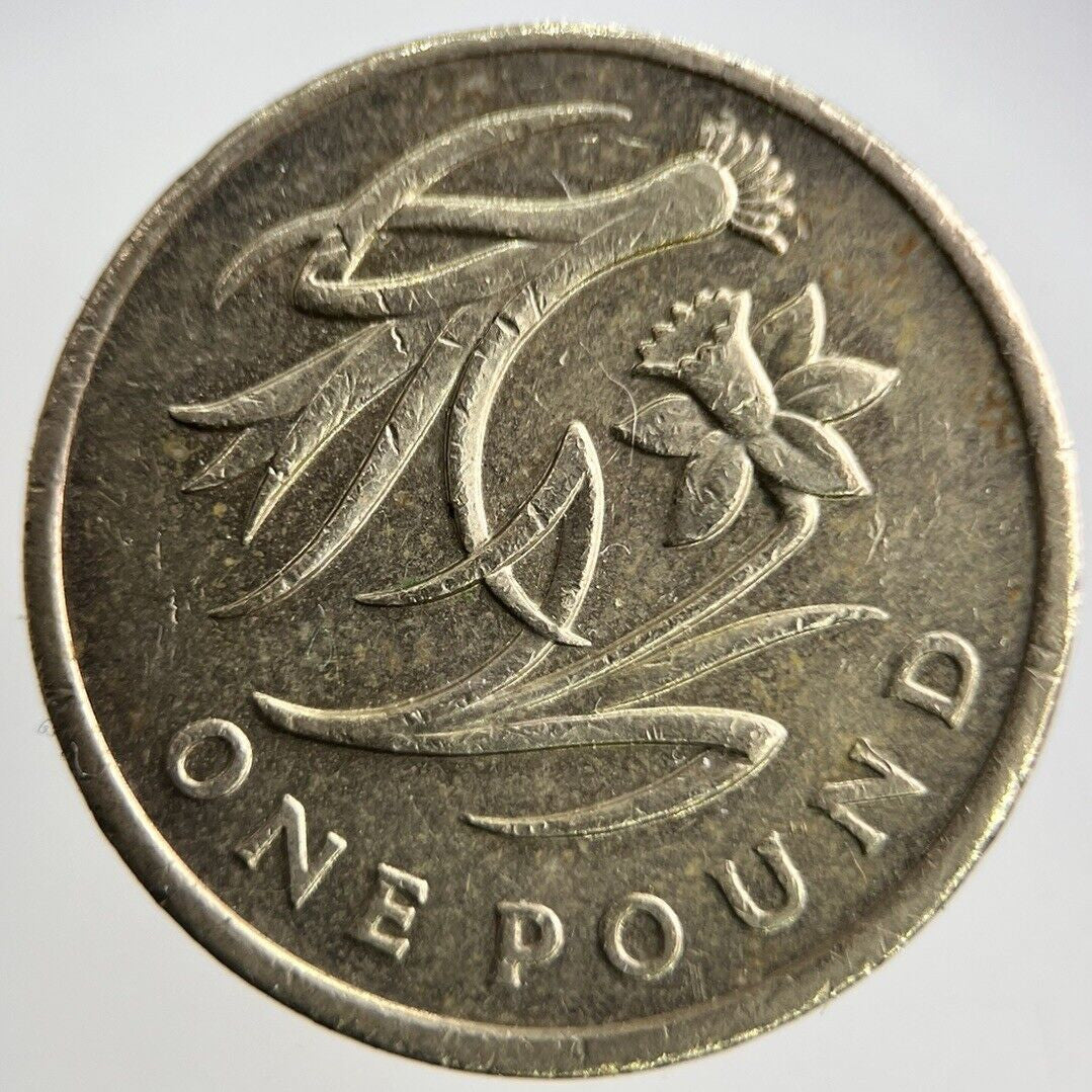 2013 Elizabeth II 2nd £1 One Pound Coin | Fine Collectable Grade