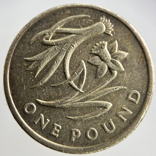 2013 Elizabeth II 2nd £1 One Pound Coin | Fine Collectable Grade