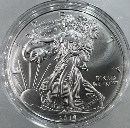 2014 American Eagle 1oz Silver Coin | Comes in Capsule | a3853