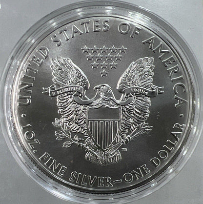 2014 American Eagle 1oz Silver Coin | Comes in Capsule | a3853