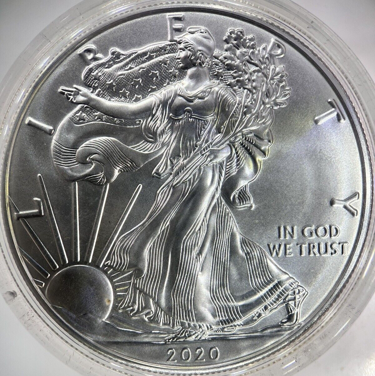 2020 American Silver Eagle 1oz Silver Coin | Comes in Capsule