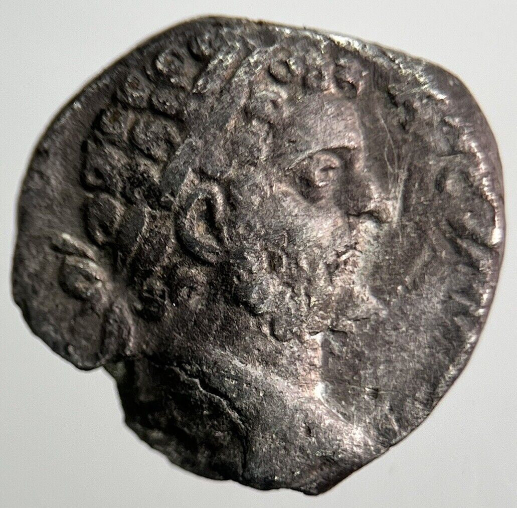 Ancient Roman Denarius Silver Coin | Collectable Grade | a6611