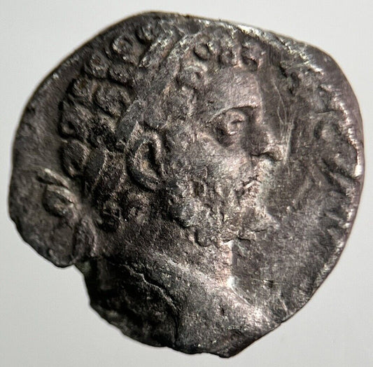 Ancient Roman Denarius Silver Coin | Collectable Grade | a6611