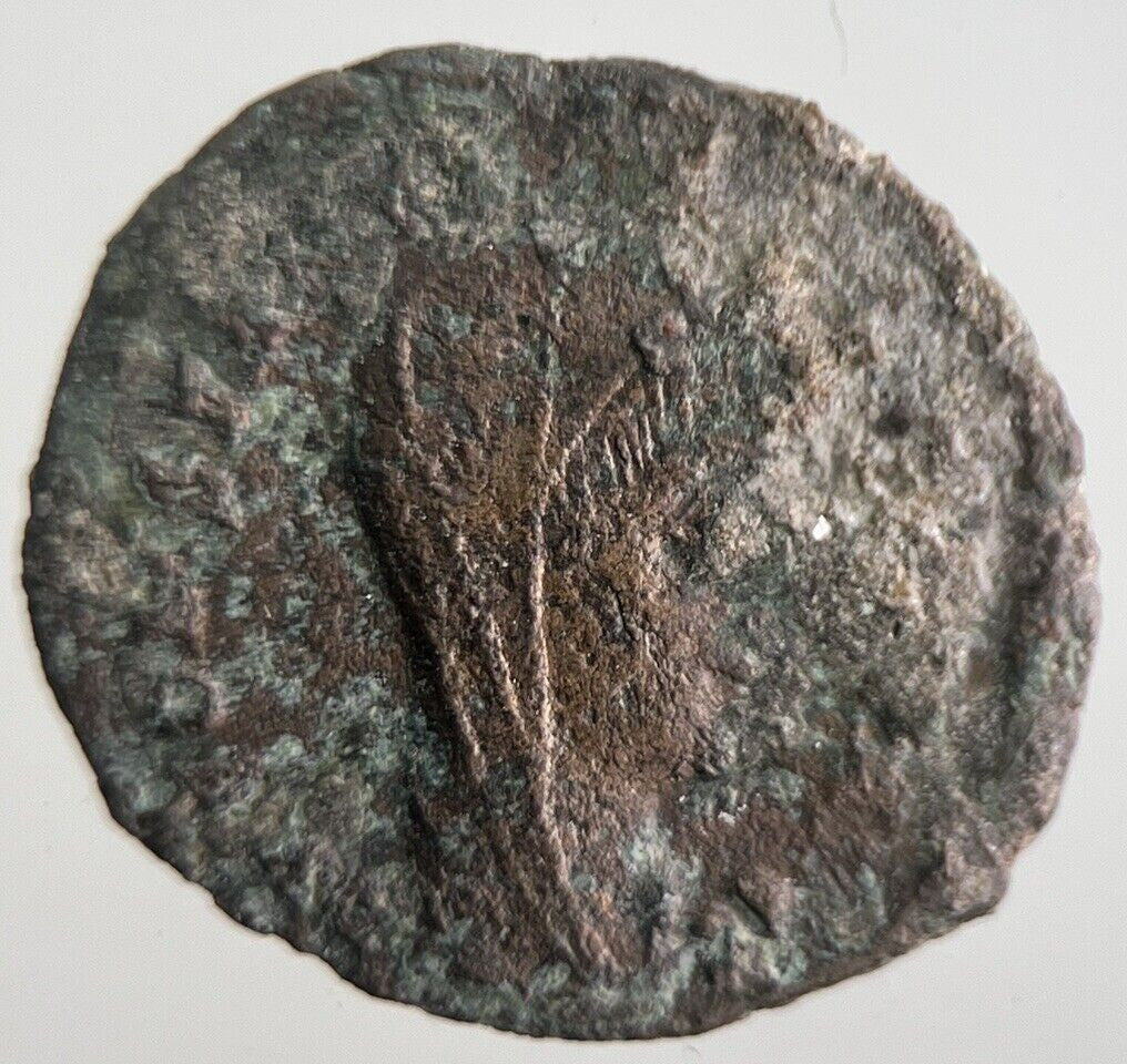 Ancient Roman Empire Bronze Coin | Collectable Grade | a4322