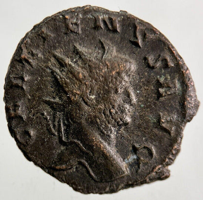 Ancient Roman Denarius Bronze Coin | Fine Collectable Grade