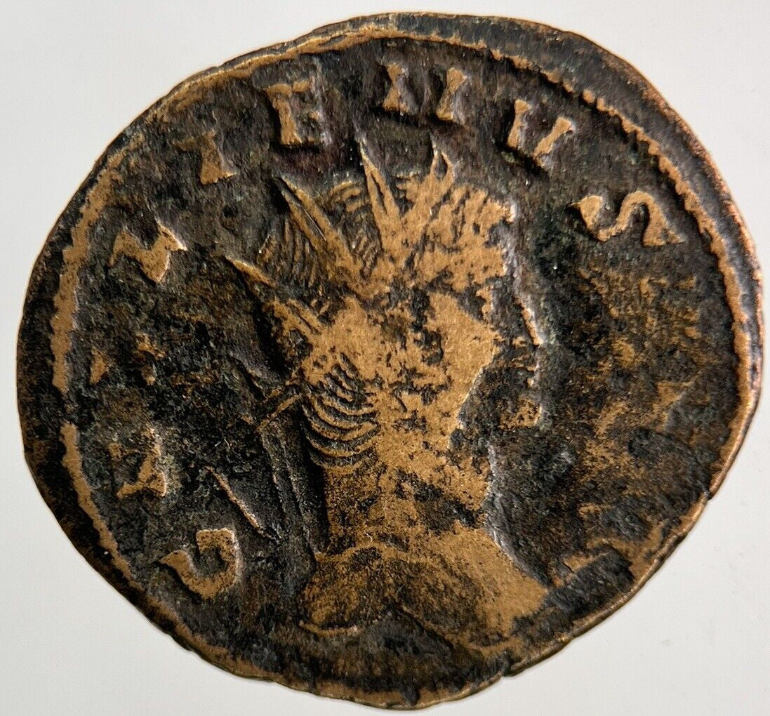 Ancient Roman Denarius Bronze Coin | Fine Collectable Grade