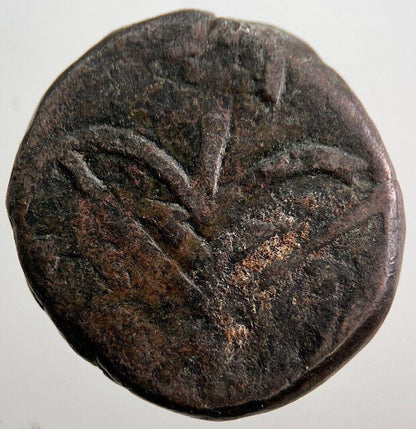 Ancient India Chunky Hammered Coin | Collectable Grade | a8036