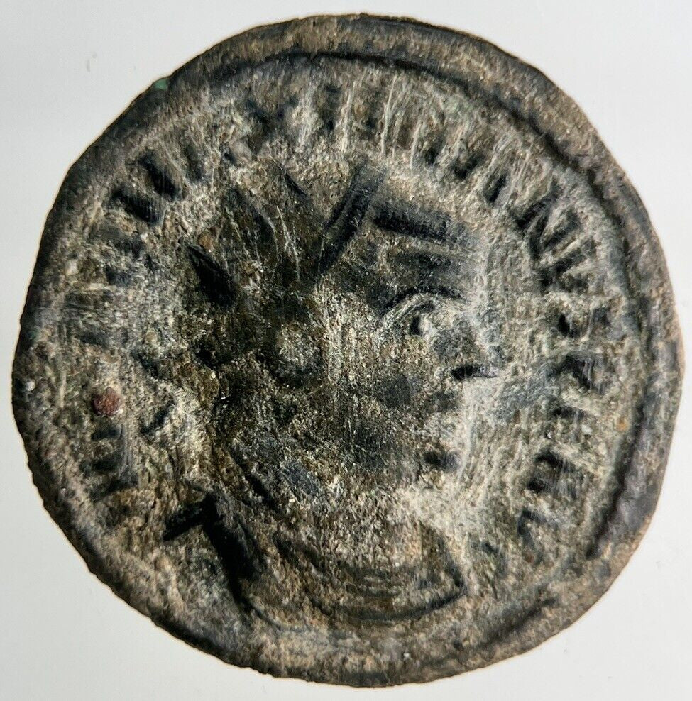 Ancient Roman Empire Denarius Bronze Coin | Collectable Grade