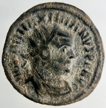 Ancient Roman Empire Denarius Bronze Coin | Collectable Grade