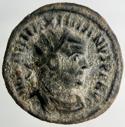 Ancient Roman Empire Denarius Bronze Coin | Collectable Grade