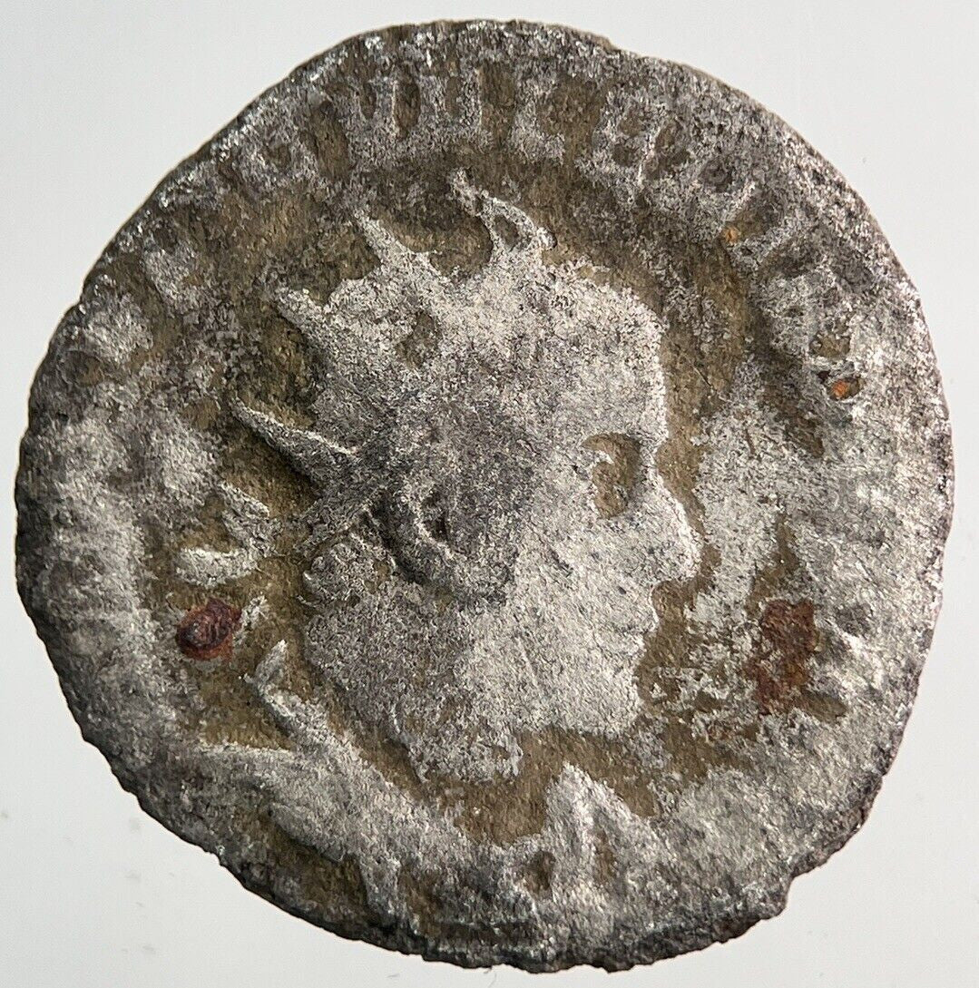 Ancient Roman Empire Denarius Silver Coin | Collectable Grade