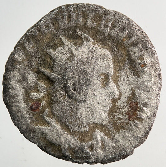 Ancient Roman Empire Denarius Silver Coin | Collectable Grade