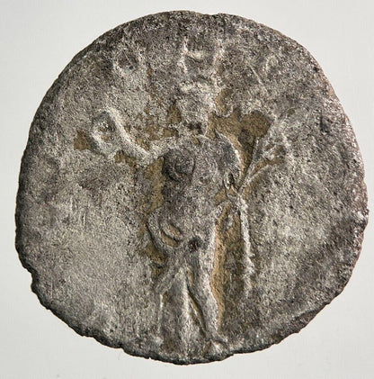 Ancient Roman Empire Denarius Silver Coin | Collectable Grade