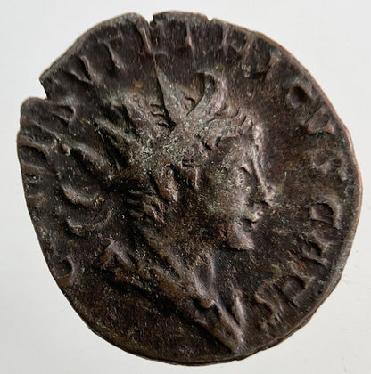 Ancient Roman Rome Bronze Denarius Coin | Collectable Grade