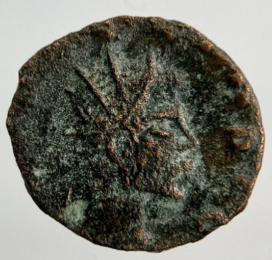 Ancient Roman Rome Bronze Denarius Coin | Collectable Grade