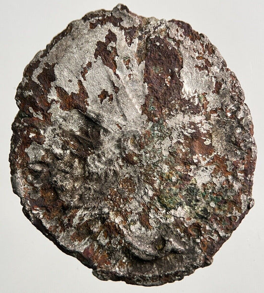 Ancient Roman Empire Denarius Silver Coin | Fine Collectable Grade