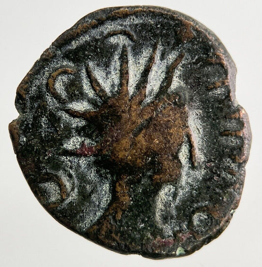 Ancient Roman Rome Bronze Denarius Coin | Collectable Grade