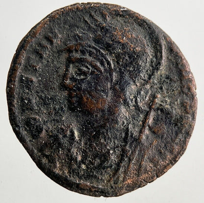 Ancient Roman Rome Bronze Denarius Coin | Collectable Grade