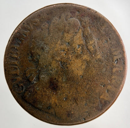 British William III 3rd & Mary Half-Penny Coin | Collectable Grade