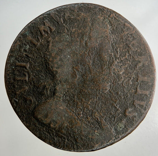 British William III 3rd Half-Penny Coin | Collectable Grade