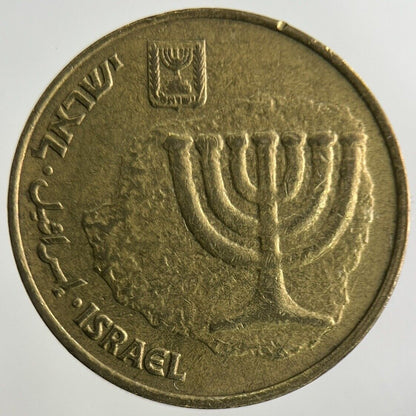 Israel 10 Agorot Coin | Fine Collectable Grade