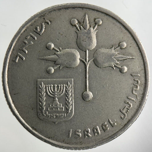 Israel 1 Lira Coin | Fine Collectable Grade