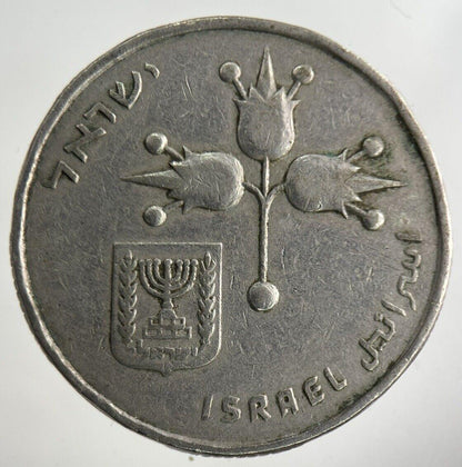 Israel 1 Lira Coin | Fine Collectable Grade