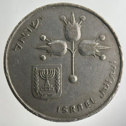 Israel 1 Lira Coin | Fine Collectable Grade