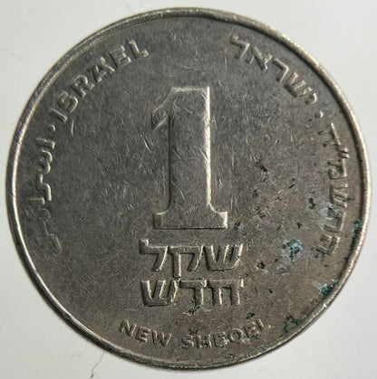 Israel 1 Sheqel Coin | Fine Collectable Grade