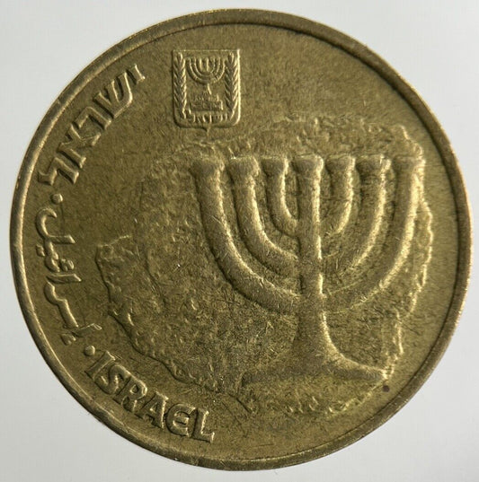 Israel 10 Agorot Coin | Fine Collectable Grade