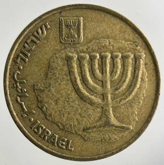 Israel 10 Agorot Coin | Fine Collectable Grade