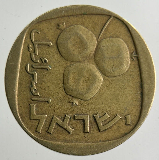 Israel 5 Agorot Coin | Fine Collectable Grade