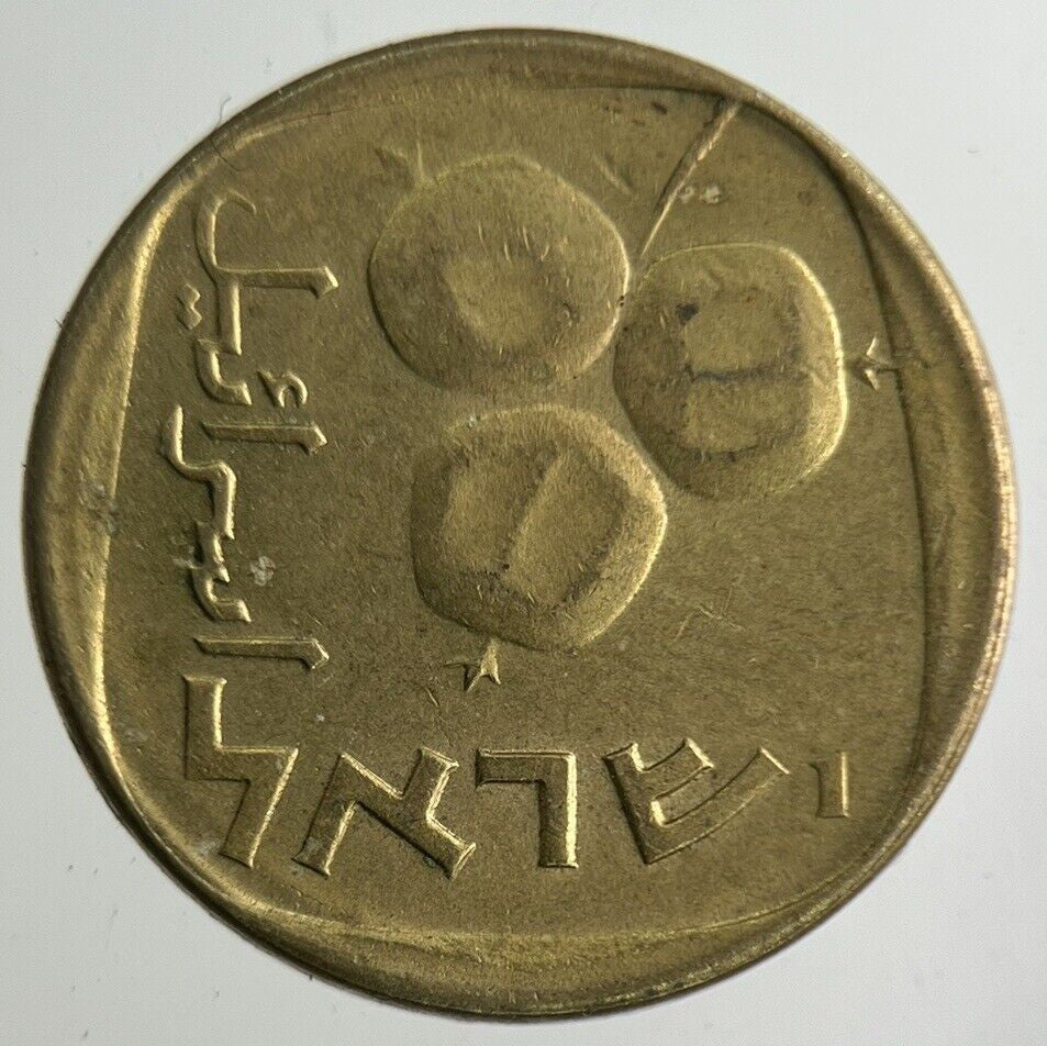 Israel 5 Agorot Coin | Fine Collectable Grade