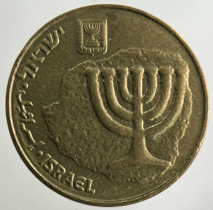 Israel 10 Agorot Coin | Fine Collectable Grade