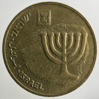 Israel 10 Agorot Coin | Fine Collectable Grade