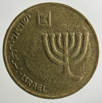 Israel 10 Agorot Coin | Fine Collectable Grade