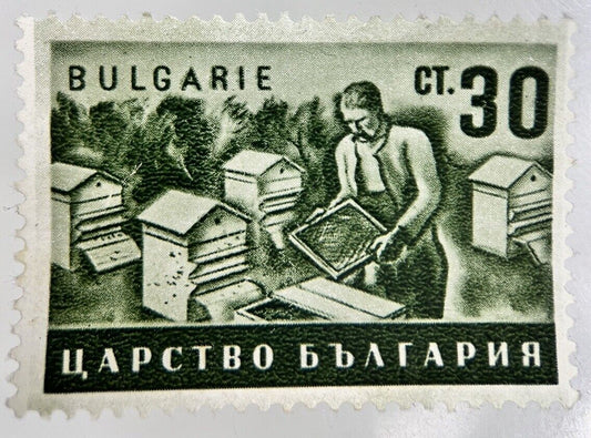 Old Bulgaria Agriculture Cattle 30 Ct Stamp | Collectable Grade