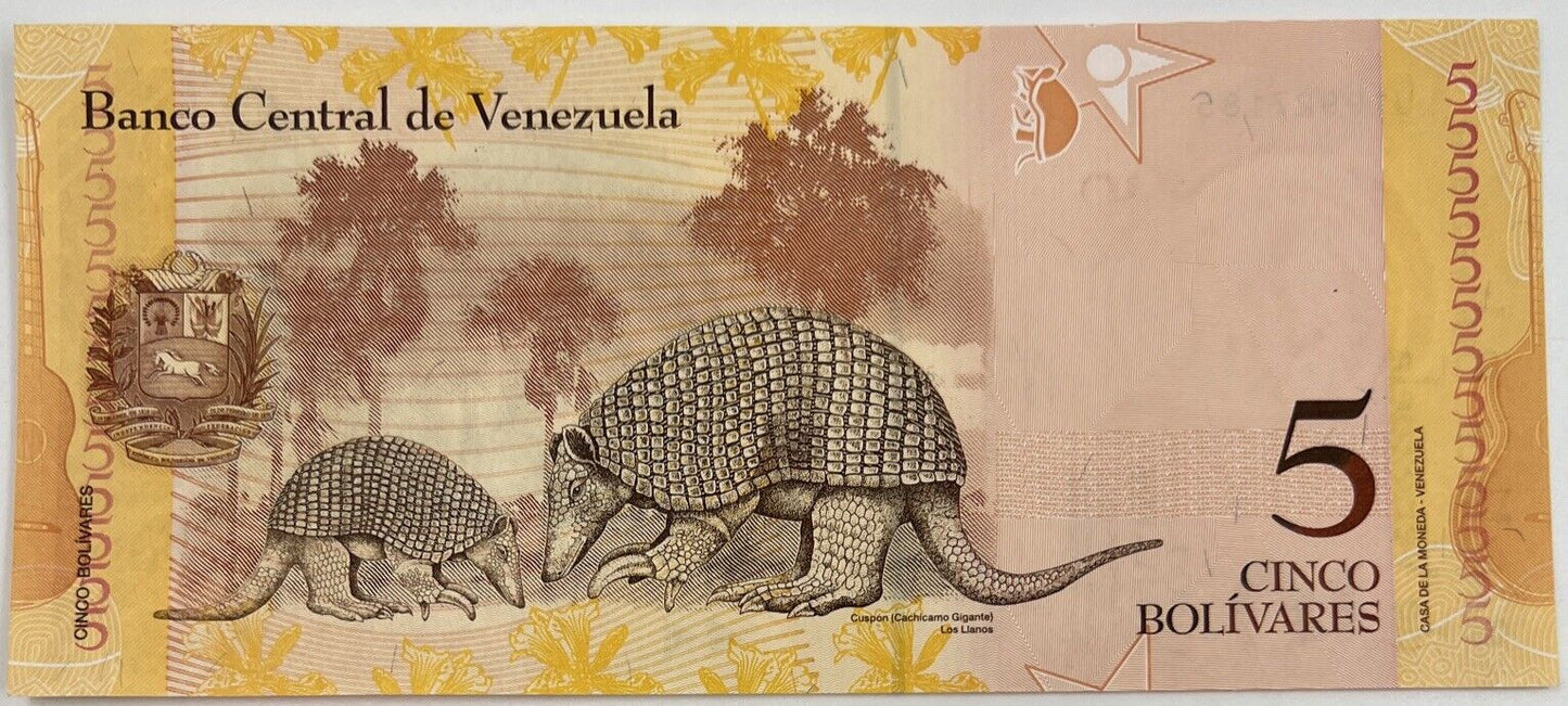 Old Vintage Venezuela 5 Bolivares Banknote | Collectable Grade
