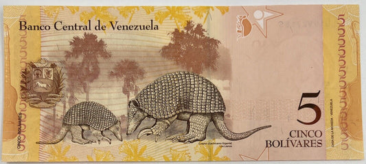 Old Vintage Venezuela 5 Bolivares Banknote | Collectable Grade