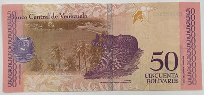 Old Vintage Venezuela 50 Bolivares Banknote | Collectable Grade