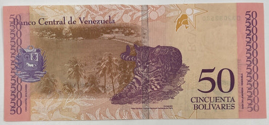 Old Vintage Venezuela 50 Bolivares Banknote | Collectable Grade