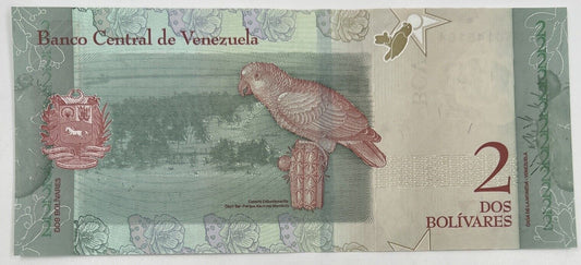 Old Vintage Venezuela 2 Bolivares Banknote | Collectable Grade