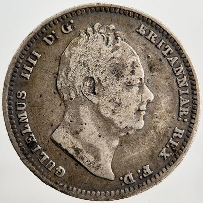 1836 William IV One Shilling Silver Coin | Fine Collectable Grade
