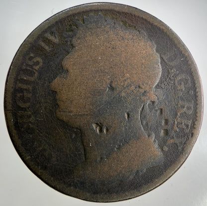 1822 Irish One Penny Coin | Collectable Grade