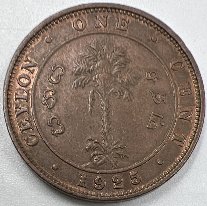 1925 Ceylon One Cent Coin | Fine Collectable Grade | a982