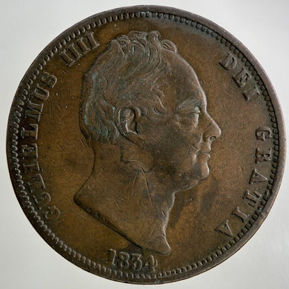 1834 William IV Half-Penny Coin | Fine Collectable Grade