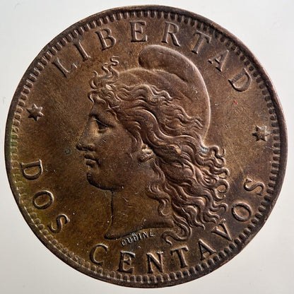 1891 Argentina Dos 2 Centavos Coin | Very High Grade | a3825