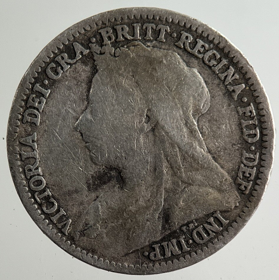 1901 Victoria Threepence Silver Coin | Collectable Grade