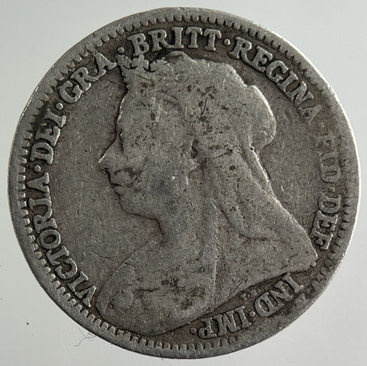1900 Victoria Threepence Silver Coin | Collectable Grade