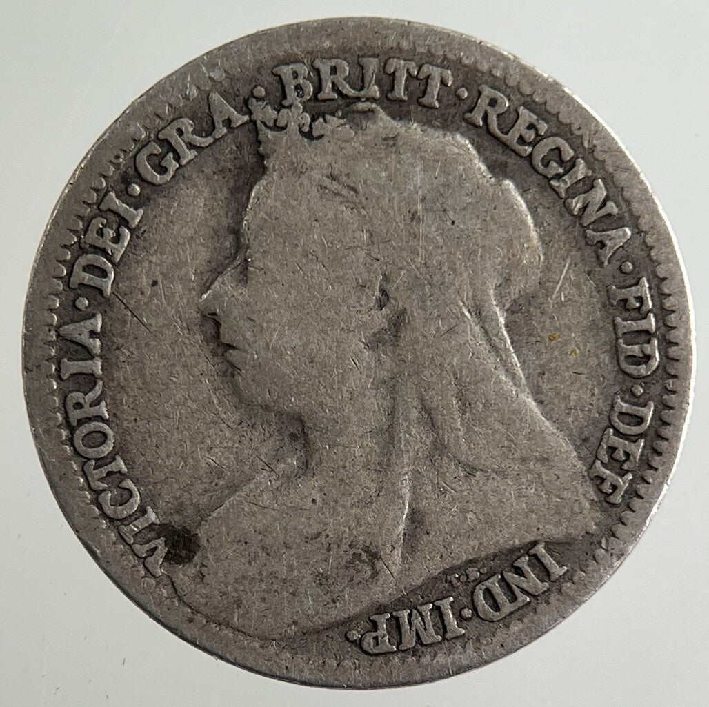 1901 Victoria Threepence Silver Coin | Collectable Grade